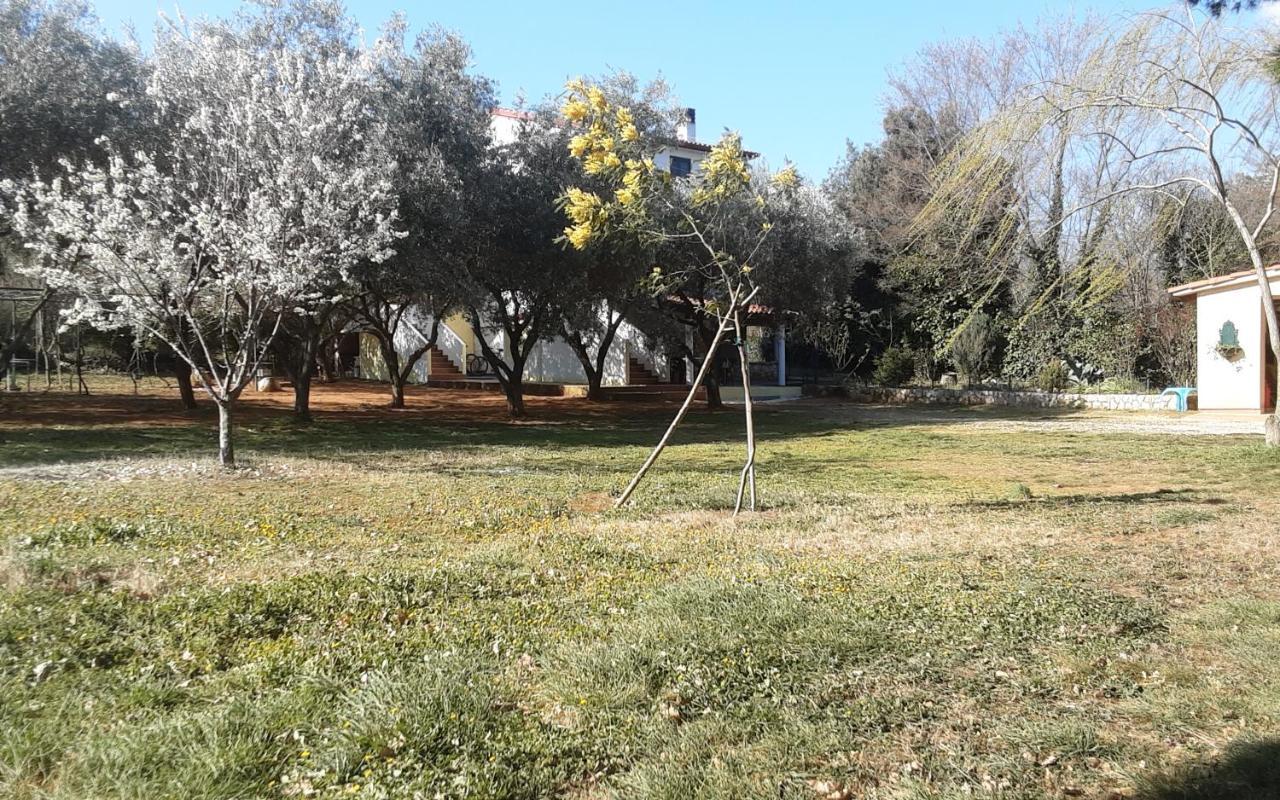 Apartments Nena 3* Ližnjan 외부 사진